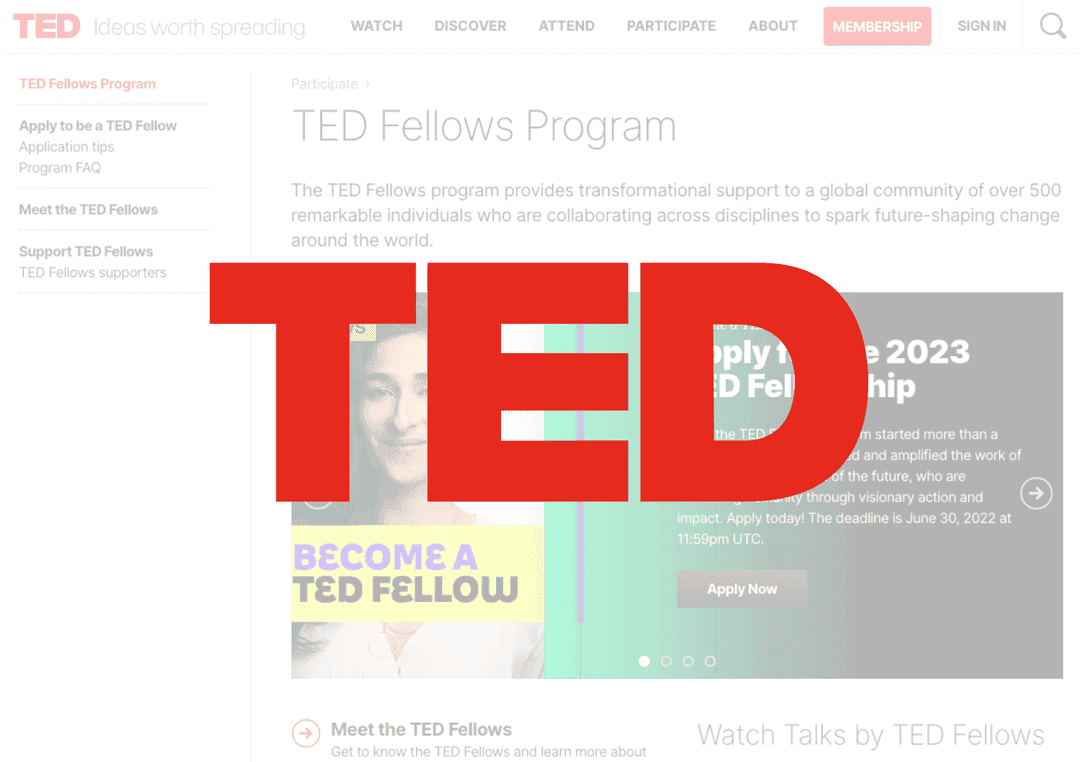 TED portal screenshot